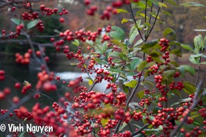 A Walk With Man Made Nature Sneak Peek Photo