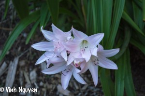 California Trip November 2012 Sneak Peek Photo