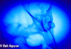 Smoke Photos Sneak Peek Photo