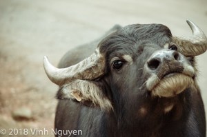 November 04, 2018-2018-Pine-Mountain-Georgia981