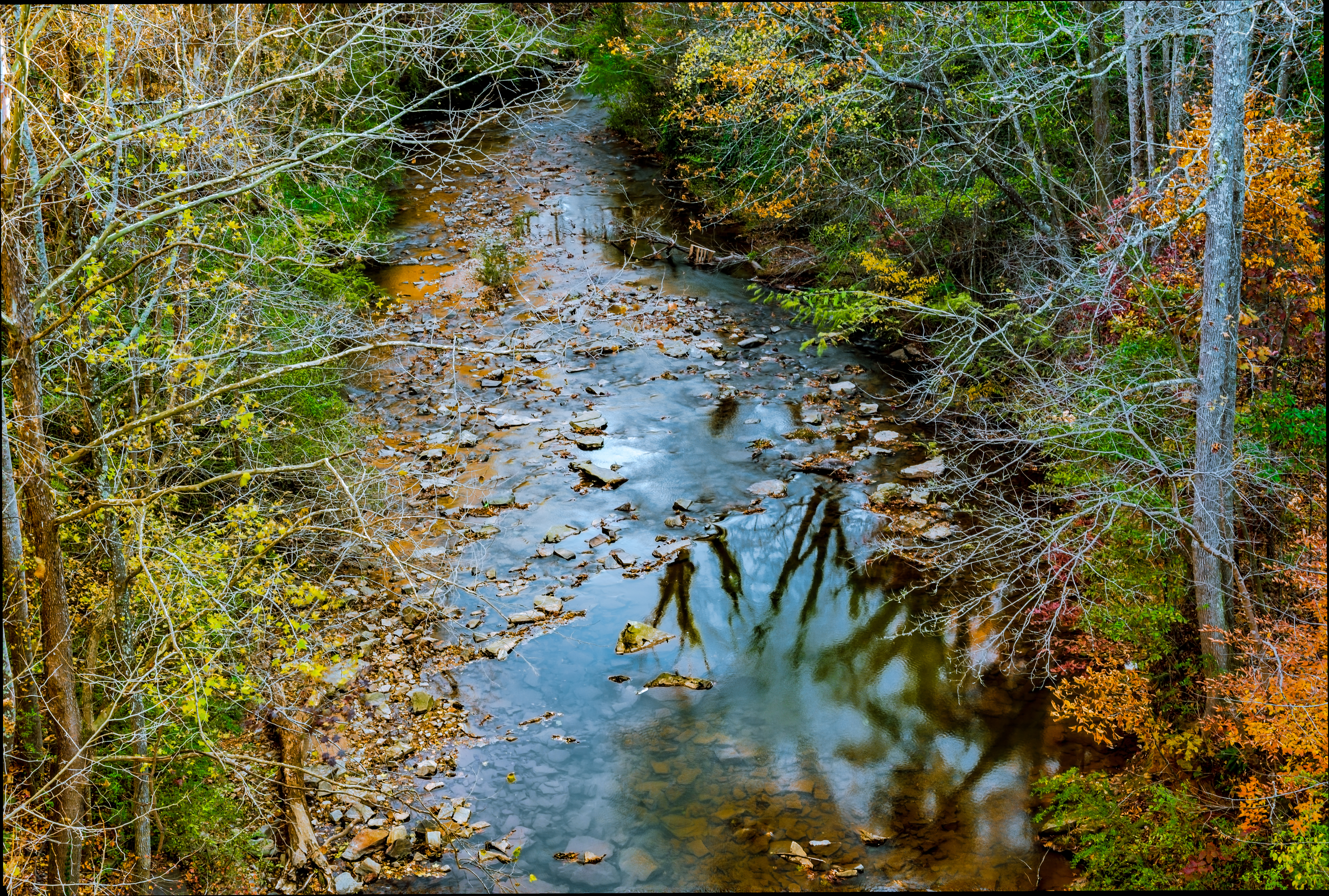 A stream at Silver Comet Trail Image